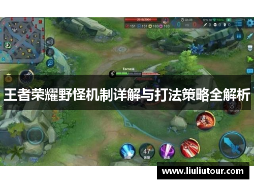 王者荣耀野怪机制详解与打法策略全解析