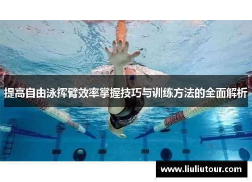 提高自由泳挥臂效率掌握技巧与训练方法的全面解析