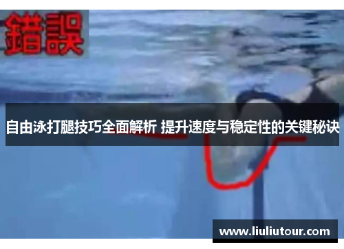 自由泳打腿技巧全面解析 提升速度与稳定性的关键秘诀