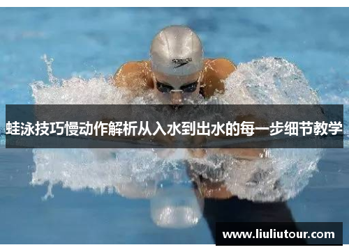 蛙泳技巧慢动作解析从入水到出水的每一步细节教学
